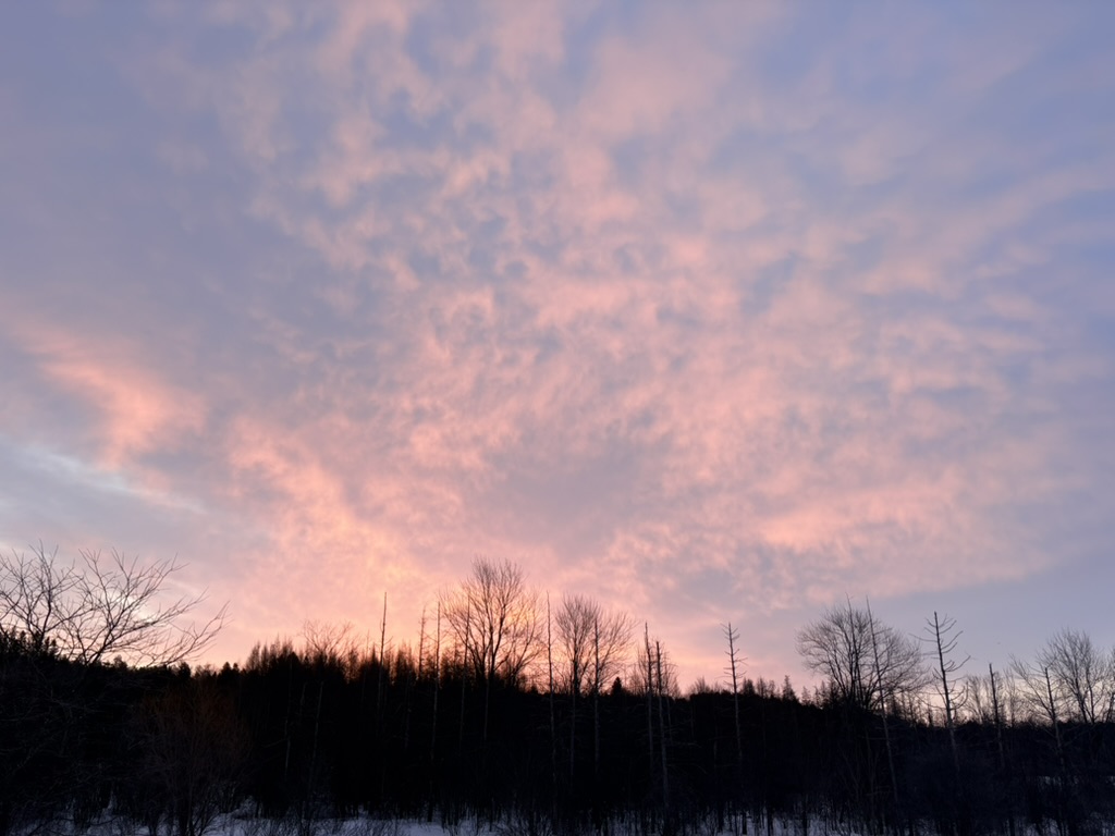 Soft pink and purple clouds at dusk